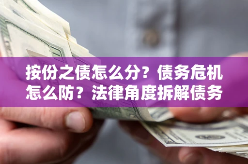 武汉按份之债怎么分？债务危机怎么防？法律角度拆解债务分配与风险自保指南