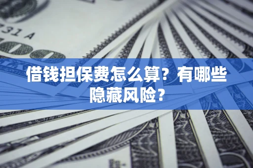 武汉借钱担保费怎么算？有哪些隐藏风险？