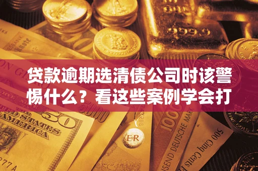 武汉贷款逾期选清债公司时该警惕什么？看这些案例学会打翻身仗