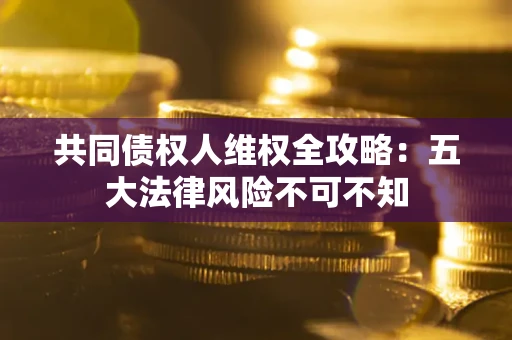 武汉共同债权人维权全攻略：五大法律风险不可不知