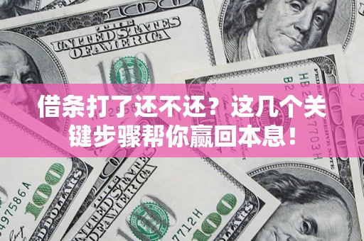 武汉借条打了还不还？这几个关键步骤帮你赢回本息！