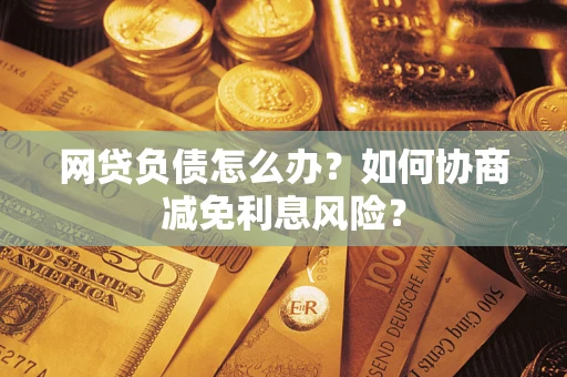 武汉网贷负债怎么办？如何协商减免利息风险？