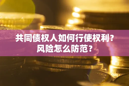 武汉共同债权人如何行使权利？风险怎么防范？