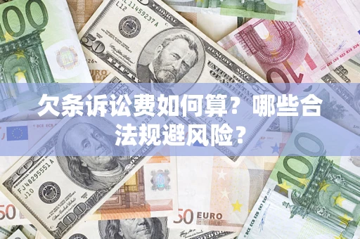 武汉欠条诉讼费如何算？哪些合法规避风险？