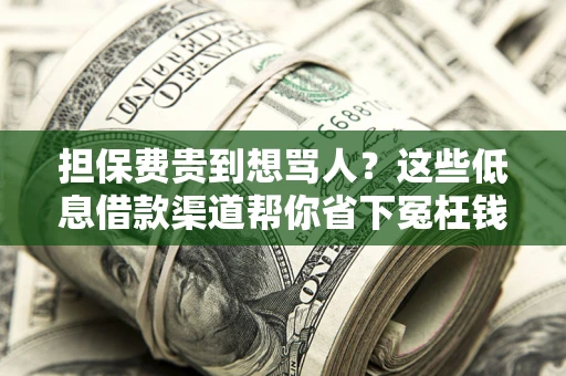 武汉担保费贵到想骂人？这些低息借款渠道帮你省下冤枉钱