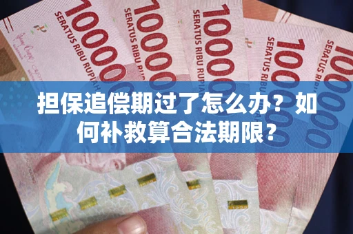 武汉担保追偿期过了怎么办？如何补救算合法期限？