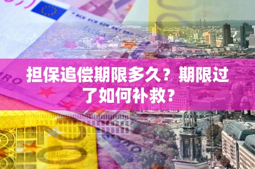 武汉担保追偿期限多久？期限过了如何补救？