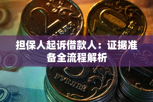 武汉担保人起诉借款人：证据准备全流程解析