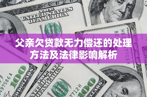 武汉父亲欠贷款无力偿还的处理方法及法律影响解析