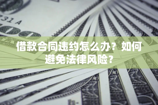 武汉借款合同违约怎么办？如何避免法律风险？