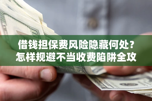 武汉借钱担保费风险隐藏何处？怎样规避不当收费陷阱全攻略！