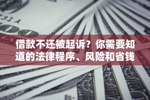 武汉借款不还被起诉？你需要知道的法律程序、风险和省钱技巧