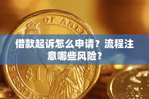 武汉借款起诉怎么申请？流程注意哪些风险？