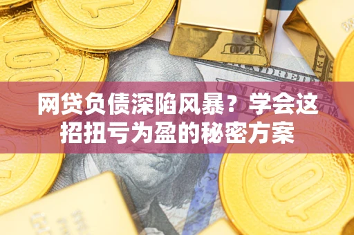 武汉网贷负债深陷风暴？学会这招扭亏为盈的秘密方案