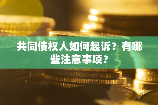 武汉共同债权人如何起诉？有哪些注意事项？