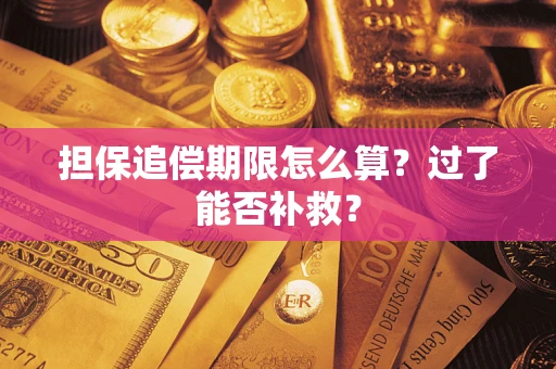 武汉担保追偿期限怎么算？过了能否补救？